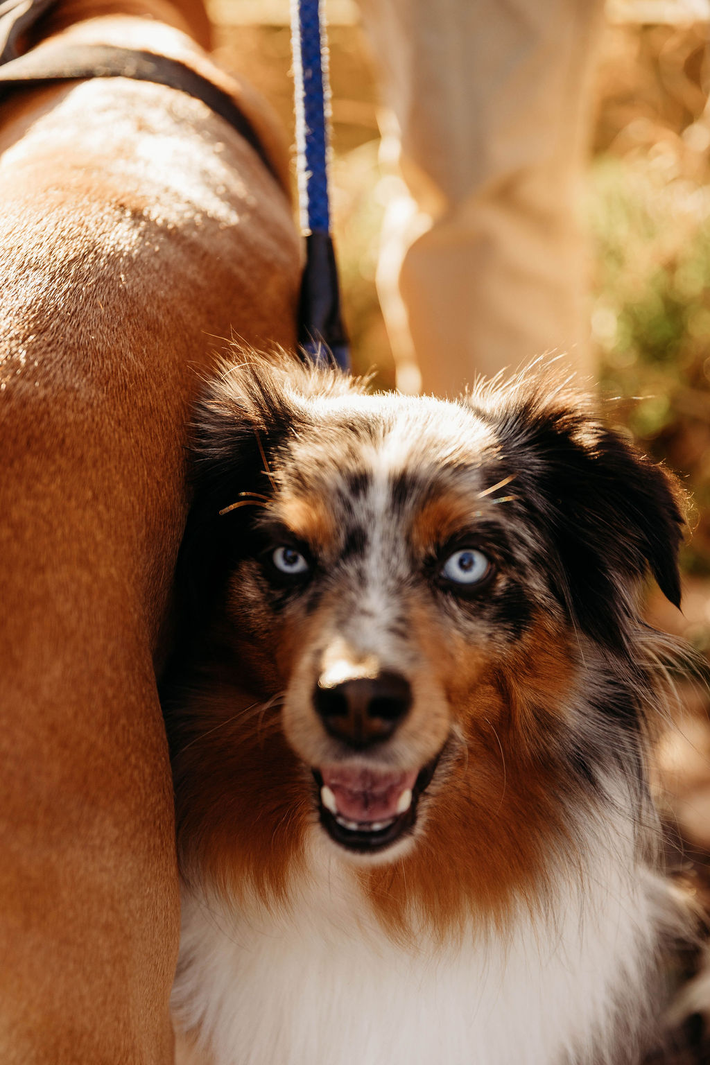 Dmitri and Kaitlyn engagement photo